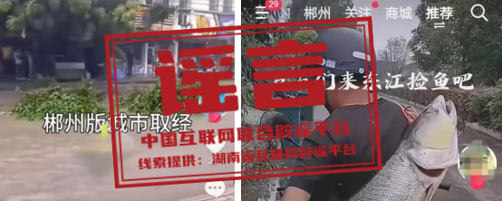 _联合辟谣平台有哪些_中国联合互联网辟谣平台