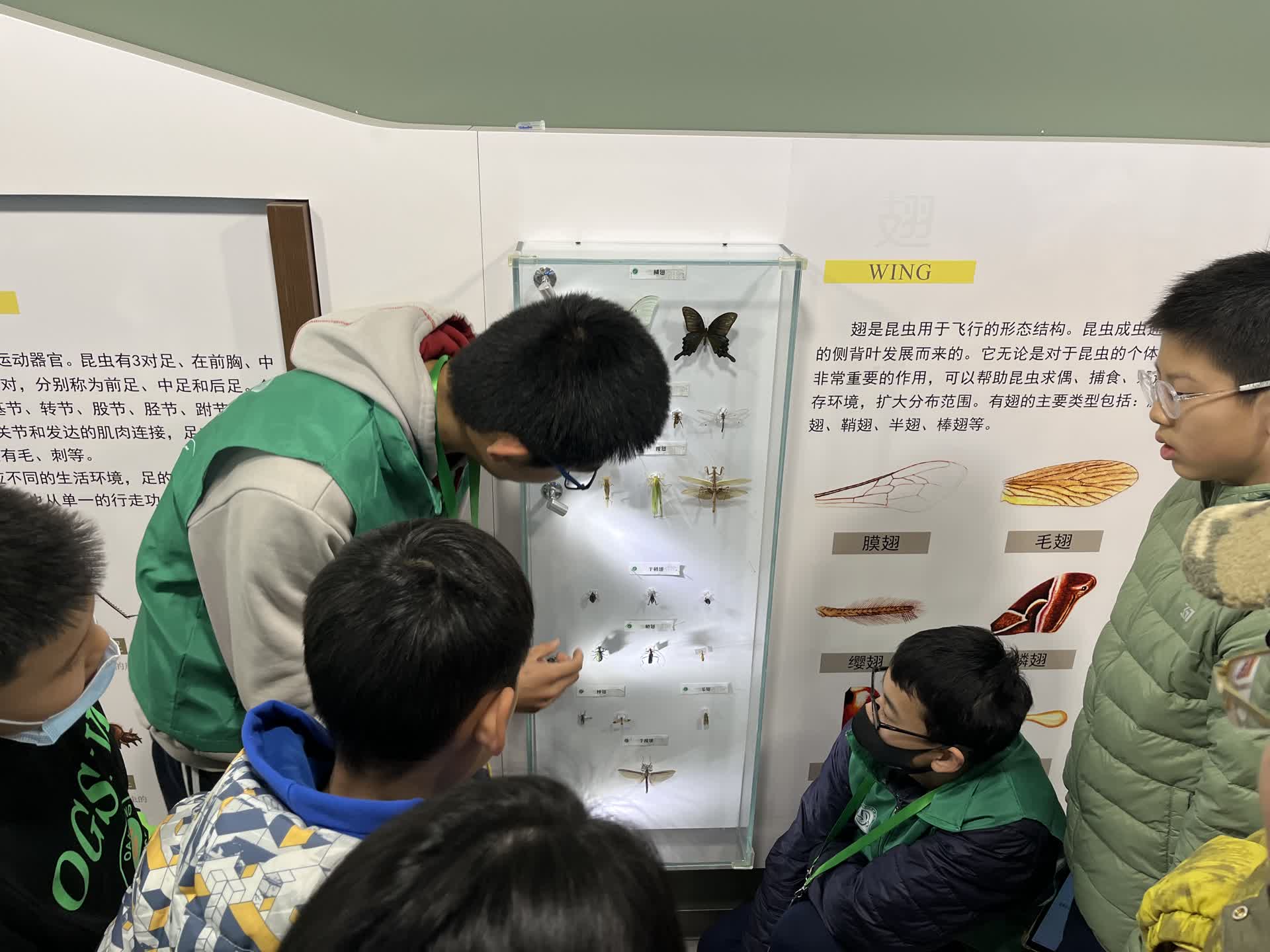 又有多所首都高校面向社会开放，清华工作日可参观！