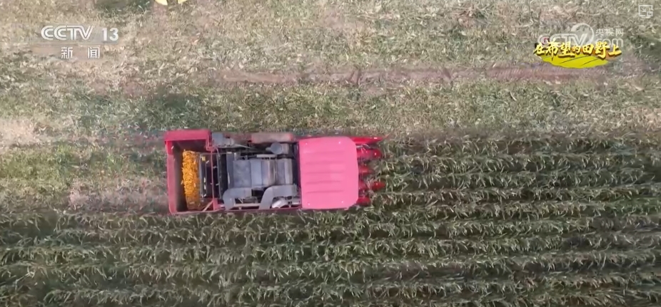 _丰收田园画_田野丰收图片简笔画