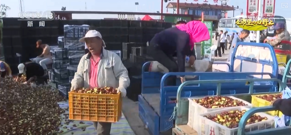 _田野丰收图片简笔画_丰收田园画