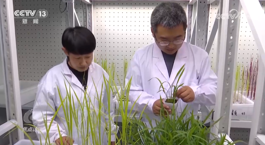 乡村振兴访谈_乡村振兴访谈录_