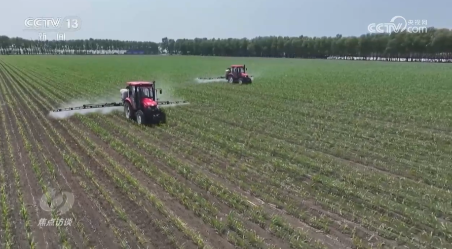 _乡村振兴访谈_乡村振兴访谈录