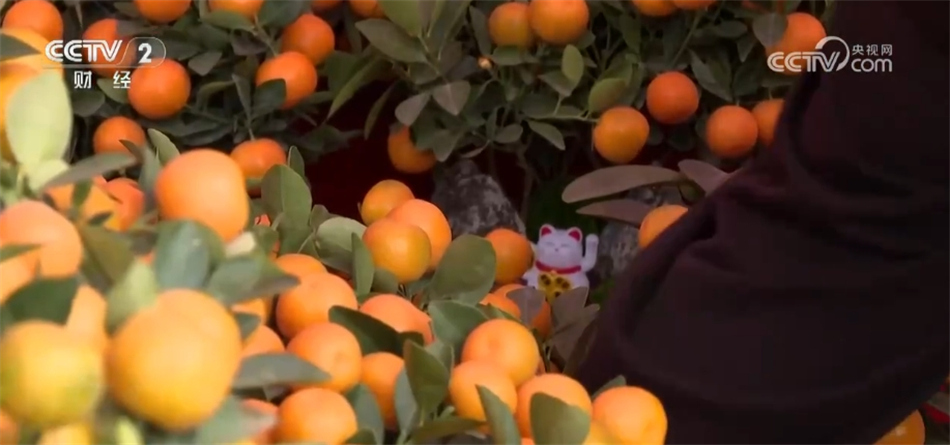 葫芦古镇作文_出口产品结构怎么写_