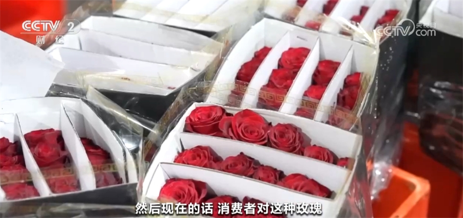 出口产品结构怎么写__葫芦古镇作文