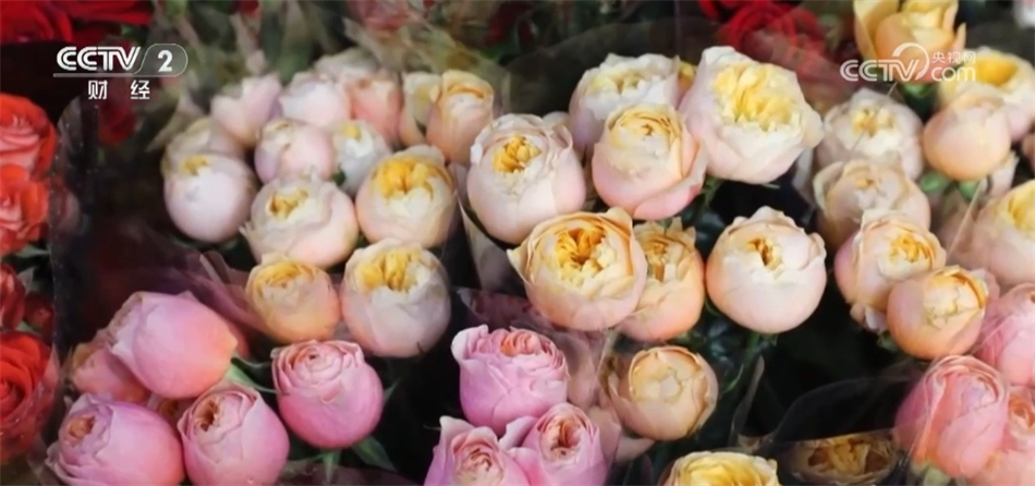 _葫芦古镇作文_出口产品结构怎么写