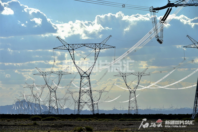 新疆建设兵团98年玉林_新疆生产建设兵团兵团_