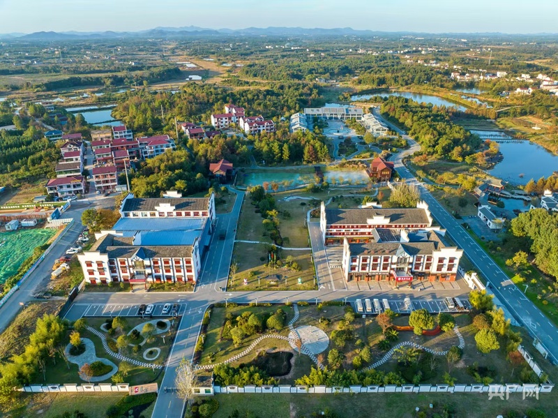 _业态发展_业态创新