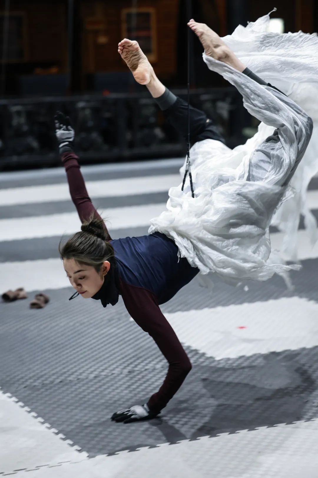 _锦鲤跃龙门插画_锦鲤跃龙门视频