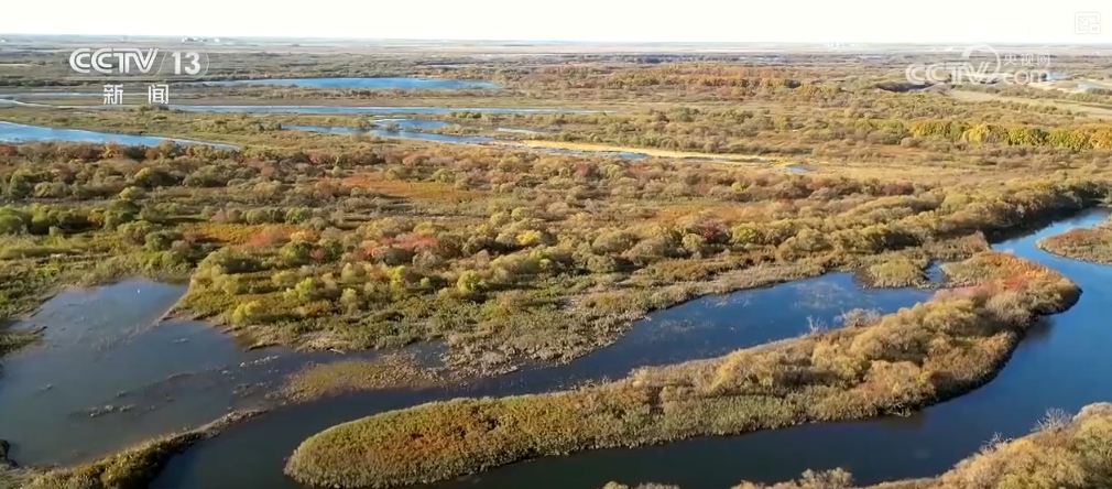 万物清新_万物清新什么意思_