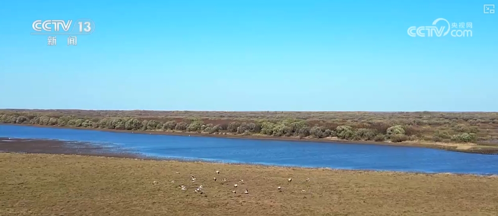 万物清新什么意思__万物清新