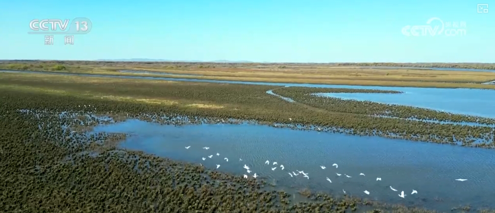 万物清新__万物清新什么意思