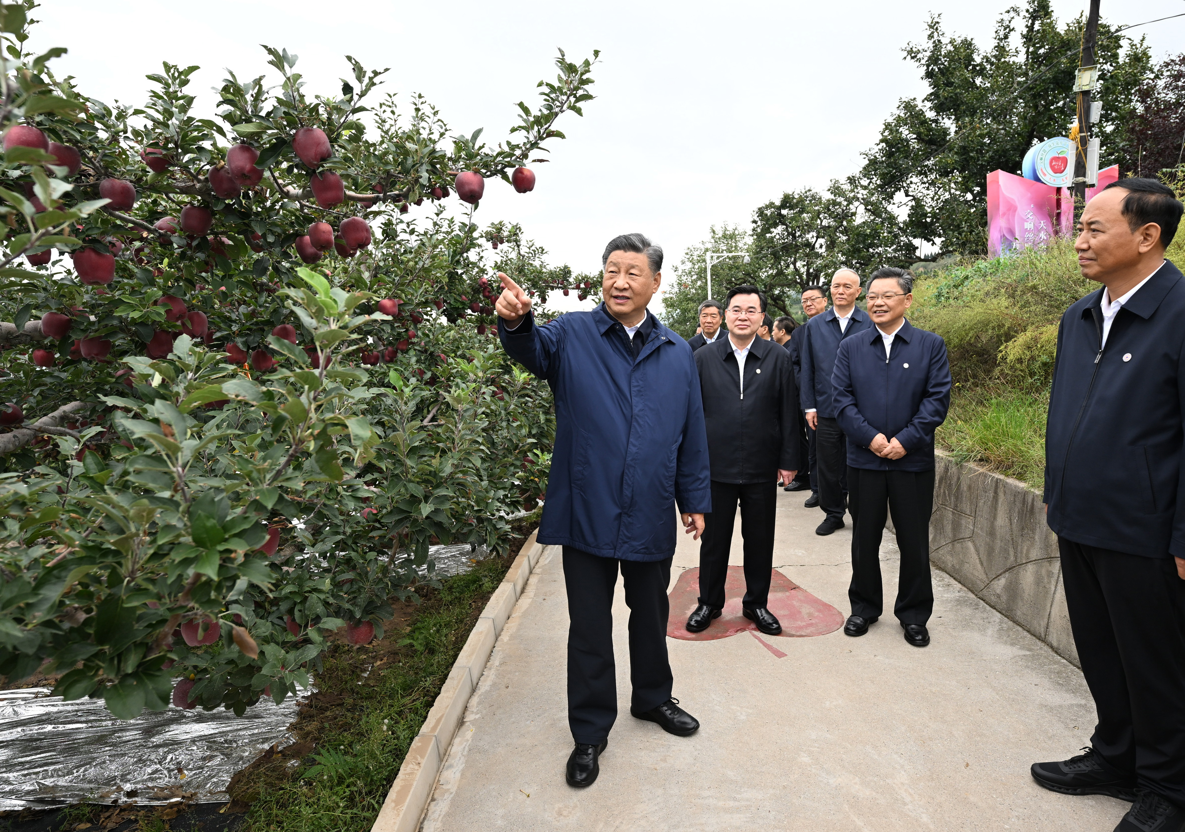 总书记刚才来啦丨发展特色现代山果产业，日子越来越红火