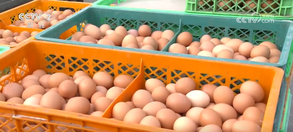 加强“菜篮子”供应能力 主要产品价格呈现稳中有降态势__加强“菜篮子”供应能力 主要产品价格呈现稳中有降态势