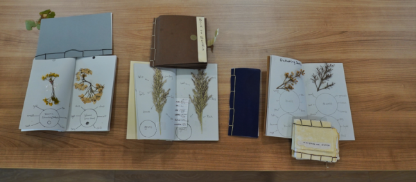 美国诗人从小与中国古诗结缘:我用英语写绝句 | 老外讲故事·中华文化圈粉记③_美国诗人从小与中国古诗结缘:我用英语写绝句 | 老外讲故事·中华文化圈粉记③_