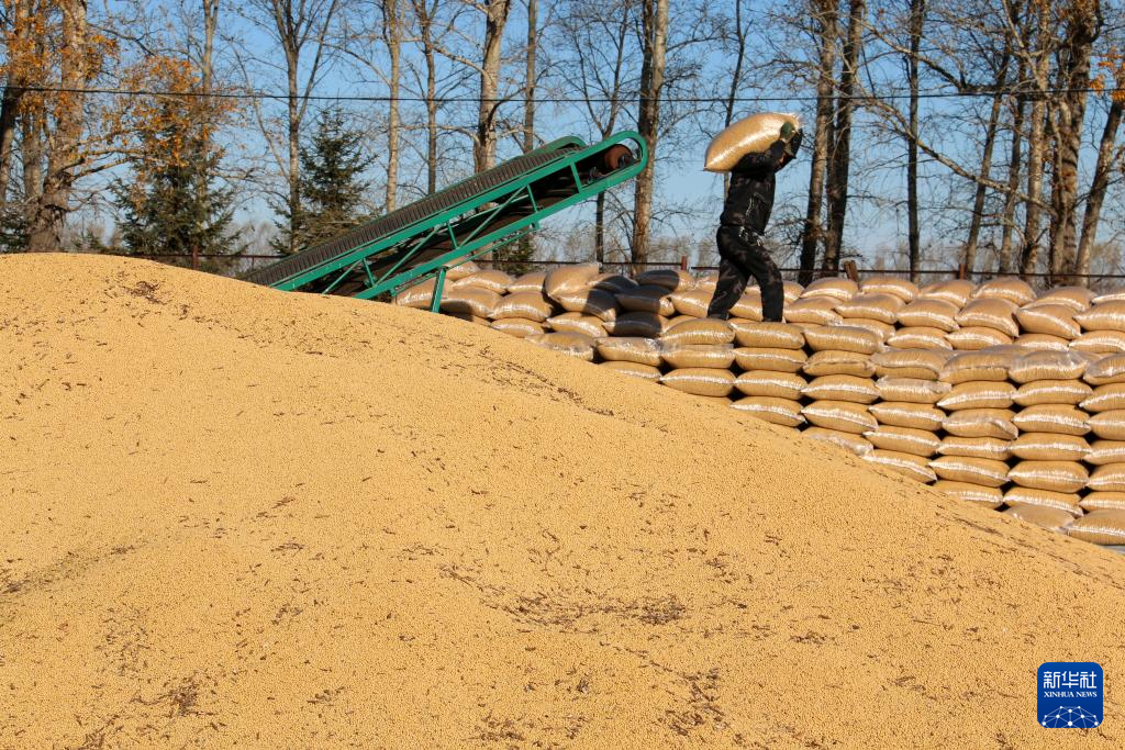 丰收的保障__法考保过班