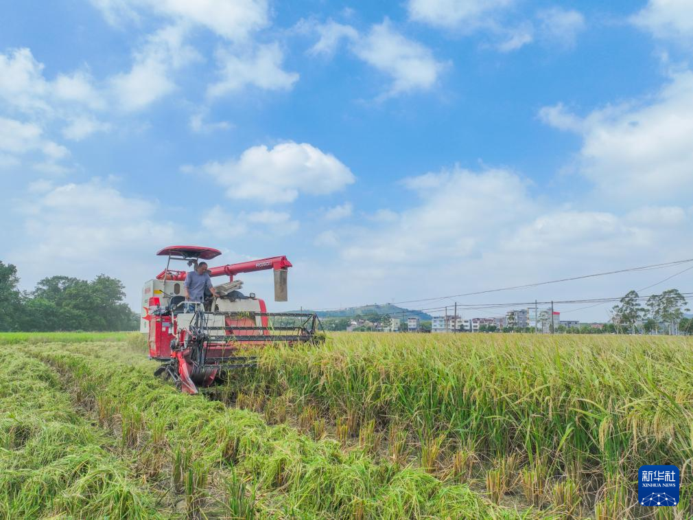 丰收的保障__法考保过班