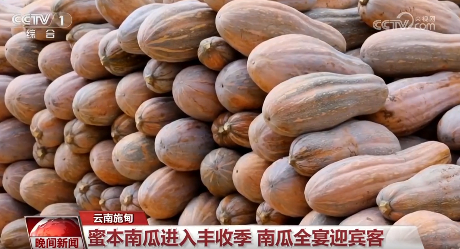 金秋田野作文__金秋田野图片