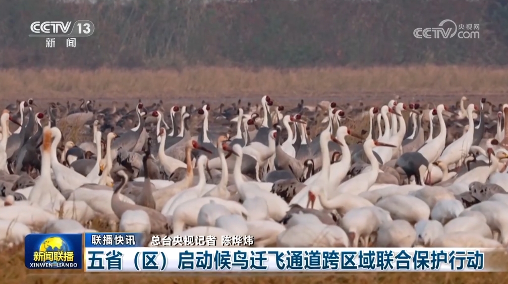 _各领域涌动“实”的干劲 中国经济阔步向前有支撑_各领域涌动“实”的干劲 中国经济阔步向前有支撑