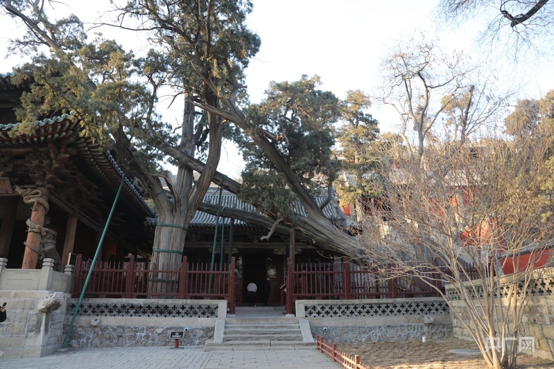 晋祠三绝_桂林银子岩三宝和三绝_