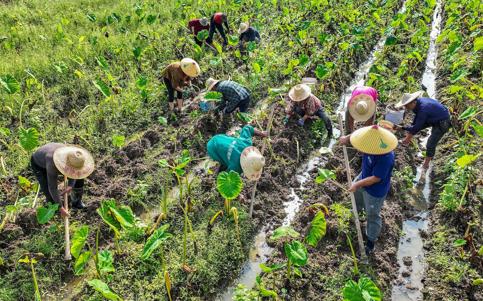 大饭碗的搞笑图片__央企工作是铁饭碗吗