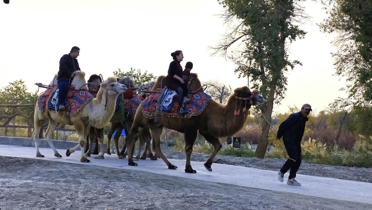 60ml水是多少图片__yy团战加成是什么