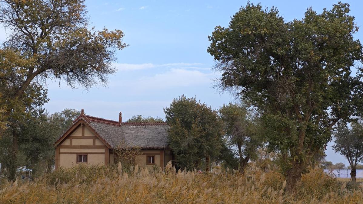 yy团战加成是什么__60ml水是多少图片