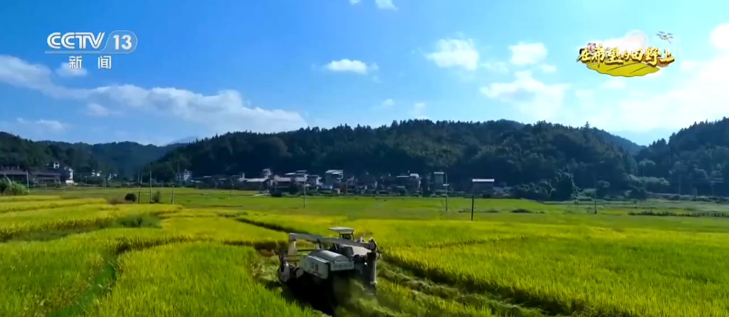 _播种小麦发微信说说_小麦丰收视频