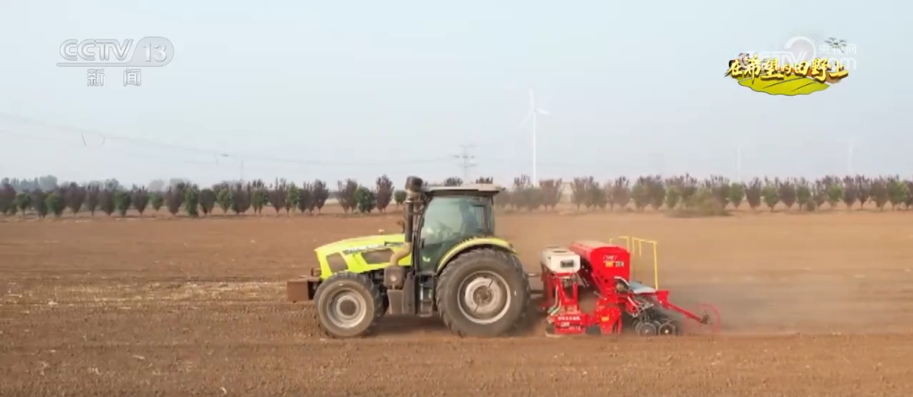 播种小麦发微信说说_小麦丰收视频_