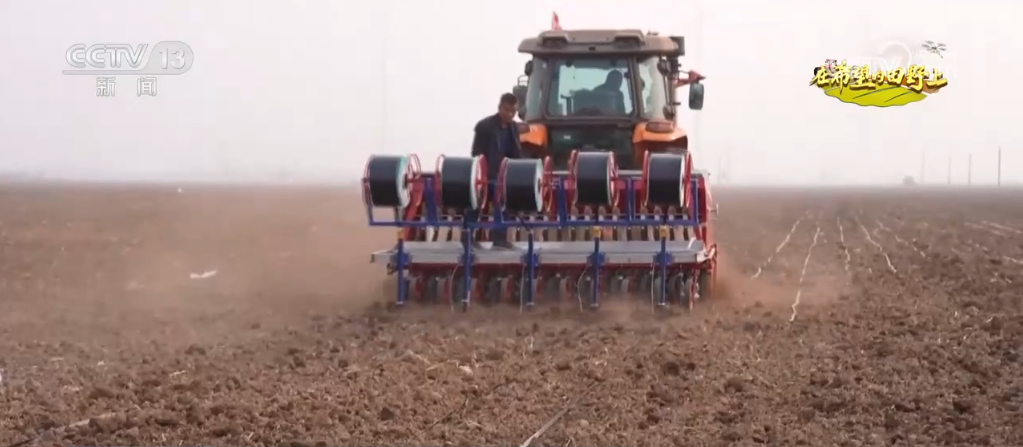 播种小麦发微信说说_小麦丰收视频_