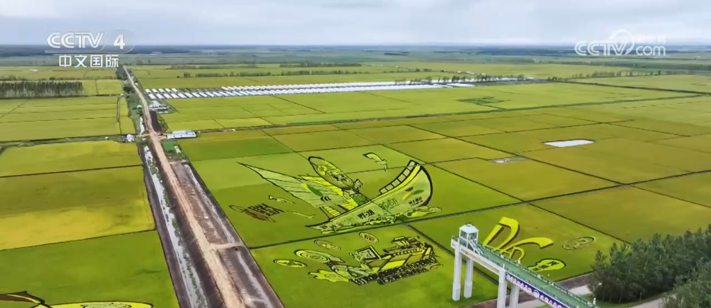 荒原变粮仓 “数”说北大荒新型农业现代化道路__荒原变粮仓 “数”说北大荒新型农业现代化道路