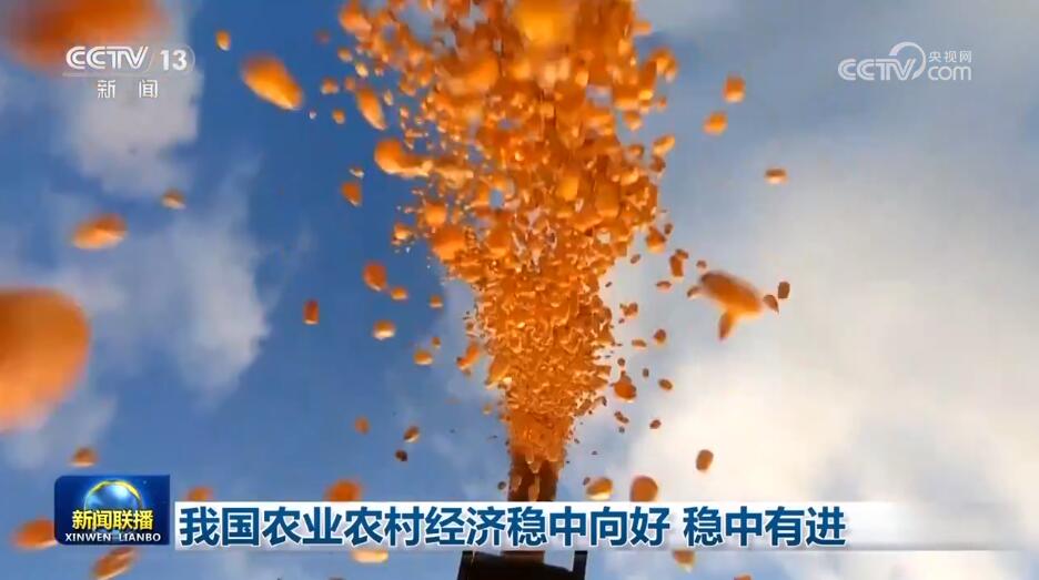 _各领域齐头并进取得佳绩 高质量发展步履铿锵_各领域齐头并进取得佳绩 高质量发展步履铿锵