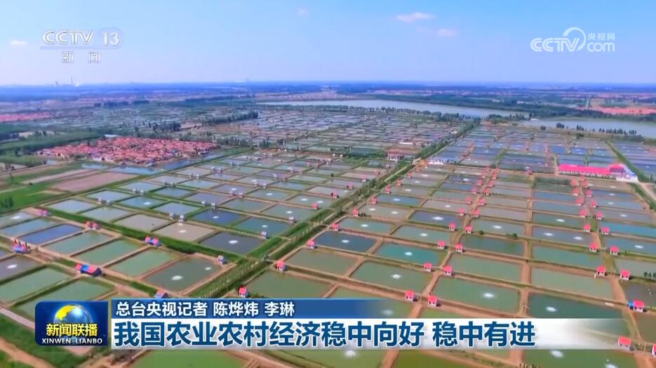 各领域齐头并进取得佳绩 高质量发展步履铿锵_各领域齐头并进取得佳绩 高质量发展步履铿锵_