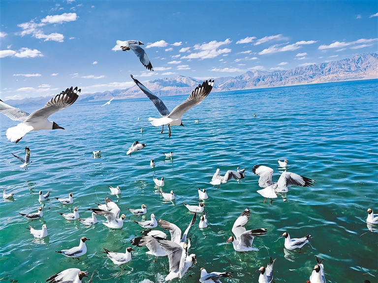 _逐绿前行 向美发展_逐绿前行 向美发展