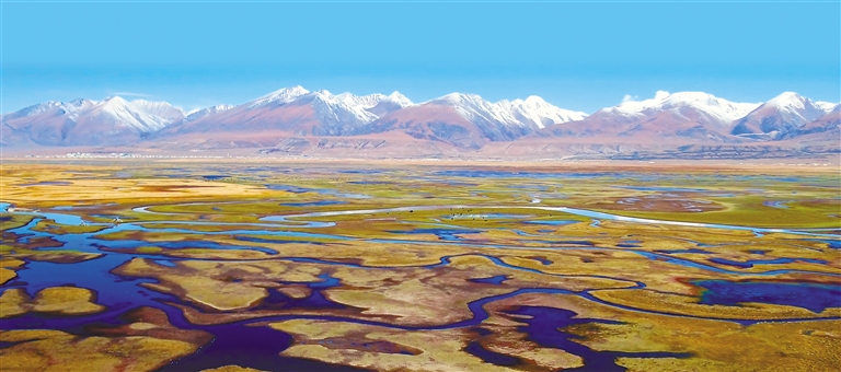 逐绿前行 向美发展__逐绿前行 向美发展