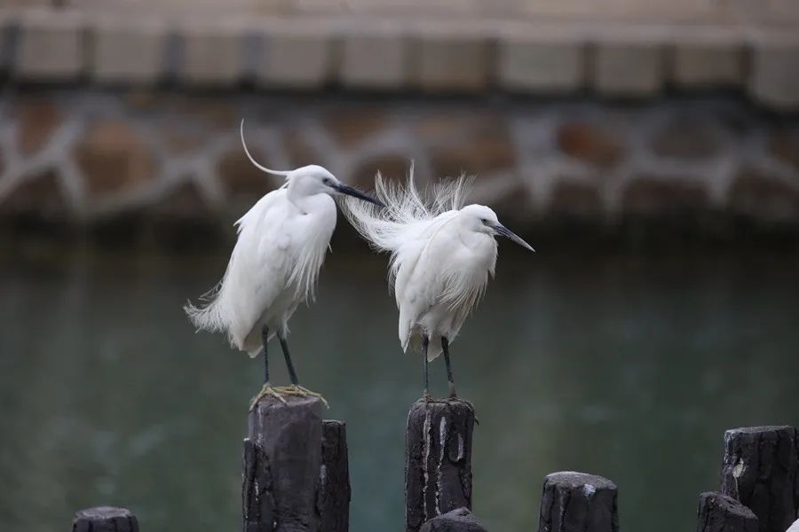 东莞太阳升起的时间__长丰县公共资源交易中心网站