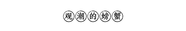 继“网”开来，乘“数”而上——网络强国建设成就述评