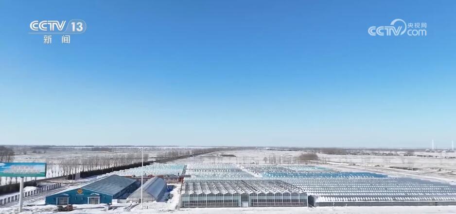 二次加压供水系统供应生产_河北石家庄节前接苗备春耕_