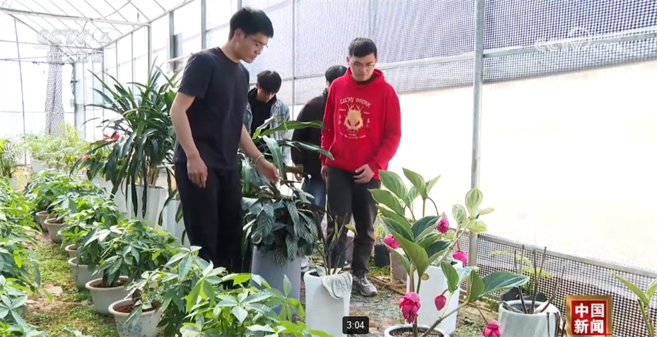 两会我关心｜乡村振兴 久久为功__两会我关心｜乡村振兴 久久为功