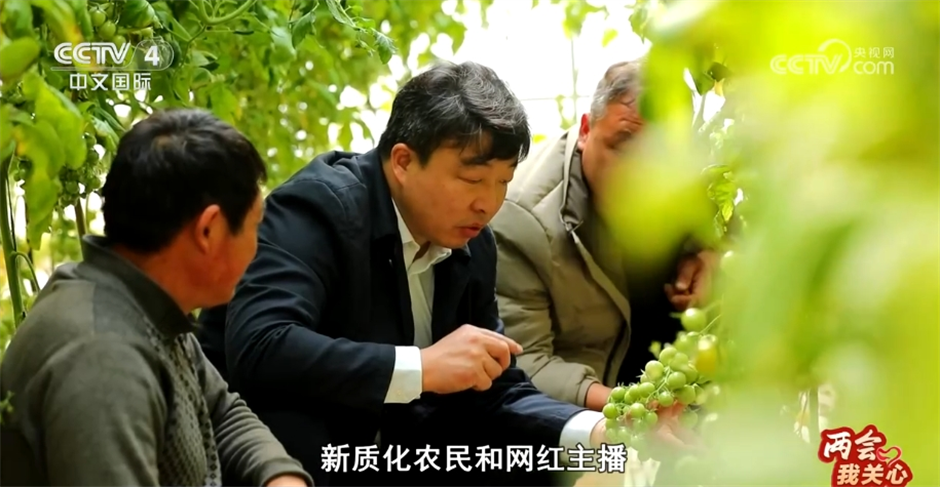 _两会我关心｜乡村振兴 久久为功_两会我关心｜乡村振兴 久久为功