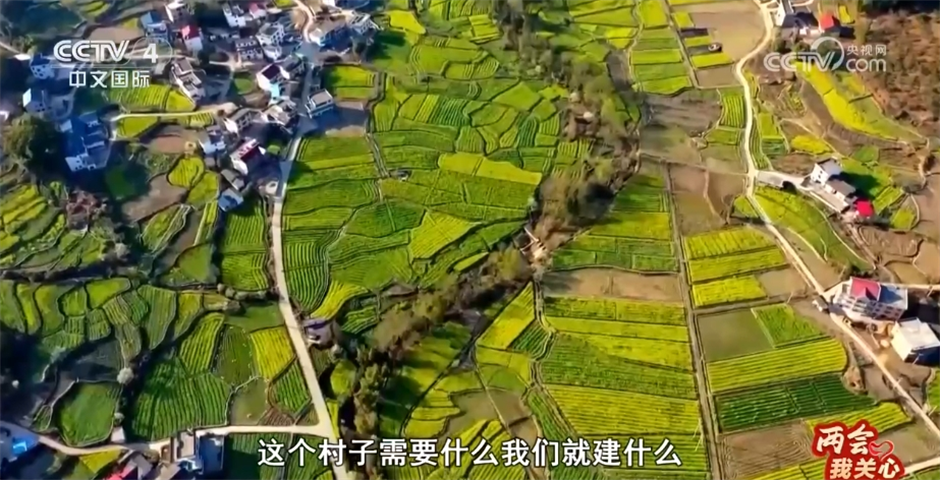 两会我关心｜乡村振兴 久久为功__两会我关心｜乡村振兴 久久为功