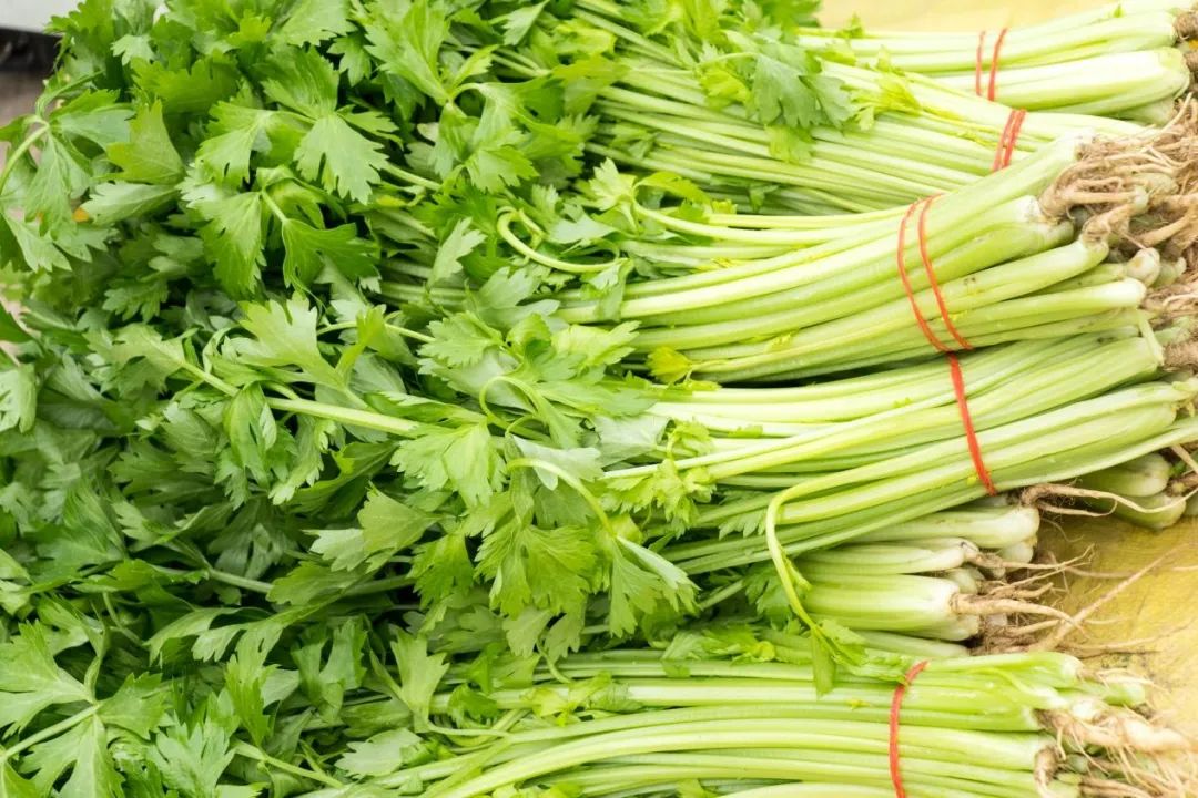 蔬菜营养价值和功效与作用_蔬菜介绍及其功效_