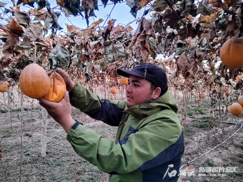 _塔克拉玛干沙漠改造计划_塔克拉玛干沙漠行成