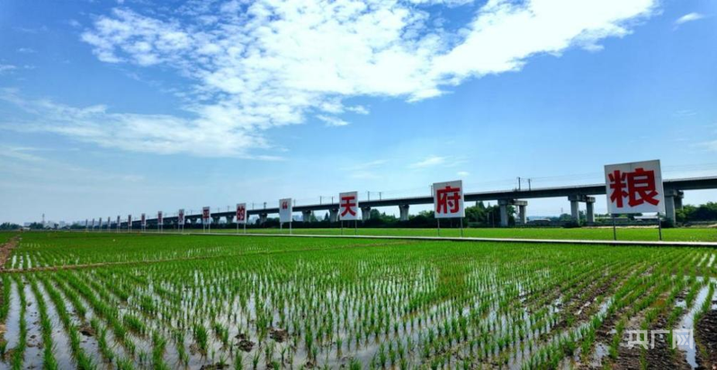 四川粮食安全藏粮于民__牢记嘱托感恩奋进范文