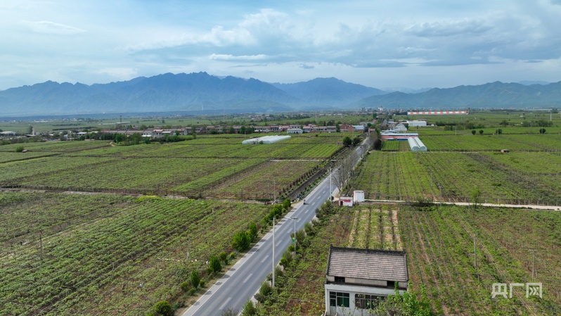 助力乡镇振兴__有关乡村振兴路边标语