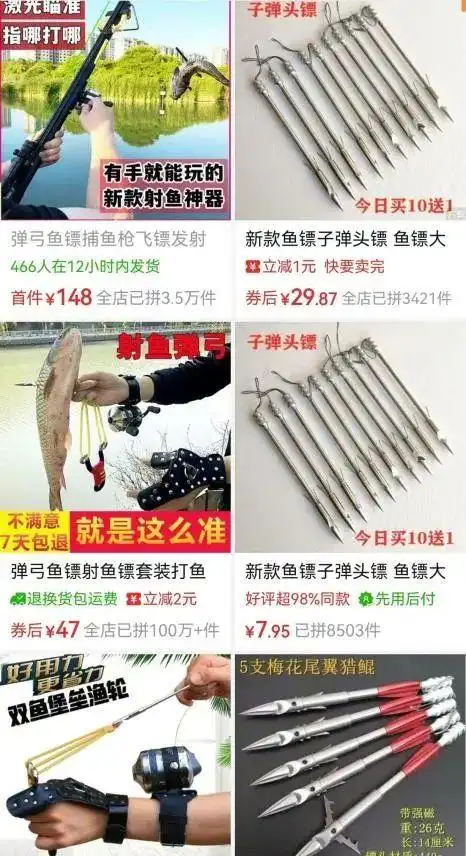 上海市民接力找寻7天！脸被射穿的狸花猫获救，医药费1天筹到四千多_上海市民接力找寻7天！脸被射穿的狸花猫获救，医药费1天筹到四千多_