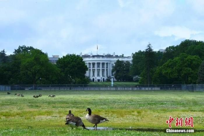 美国专家：美政府关税行动“不合法”全球经济恐陷险境__美国专家：美政府关税行动“不合法”全球经济恐陷险境
