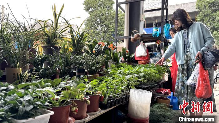 踏青赏花浙江好去处_踏青赏花手绘思维导图_
