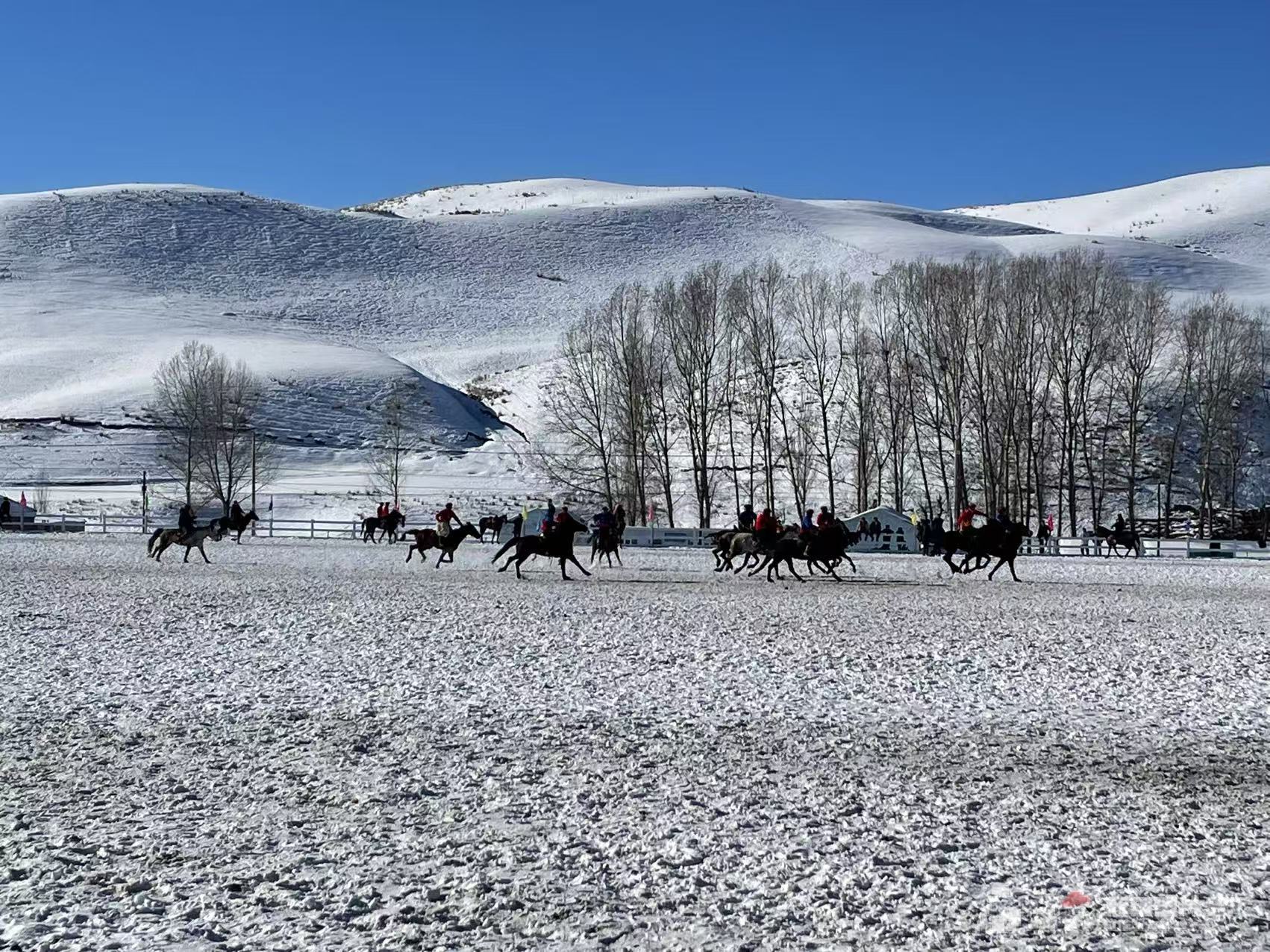 新疆的雪花开了丨走！跟着赛事畅游“热雪新疆”