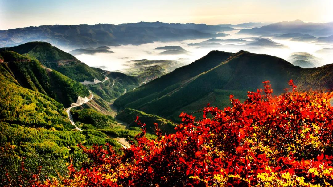 _宁夏之旅大漠风情_银川大漠孤烟