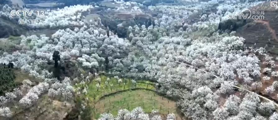 花开乡里_花开乡村主题歌_
